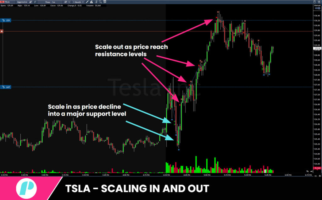 risk management scaling TSLA