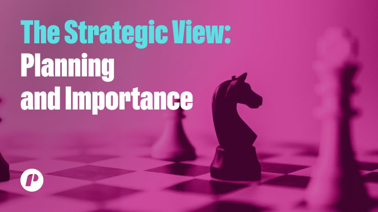 The Strategic View: Planning and Importance